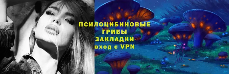 Псилоцибиновые грибы Magic Shrooms Москва